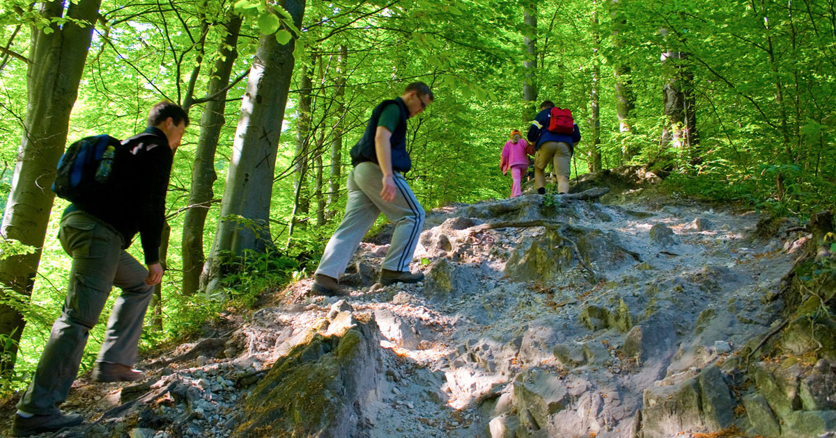 Hiking